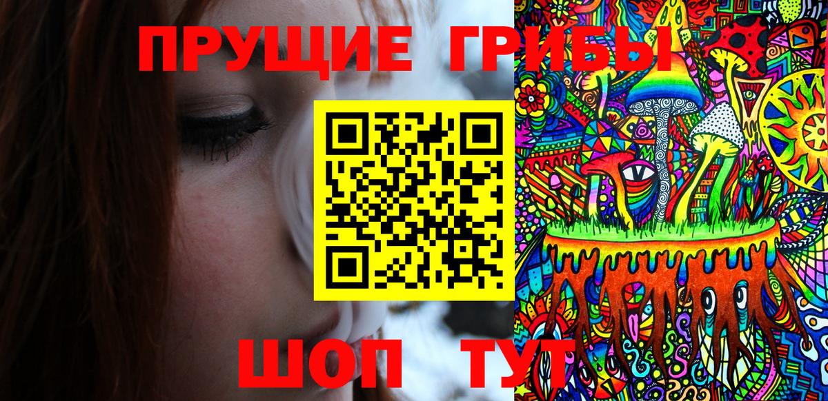 Бугуруслан  Галлюциногенные грибы мицелий  Вход с VPN 